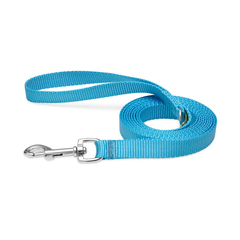 Laisse Nylon