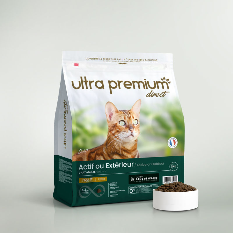 Chat Adulte d'Extérieur 7kg