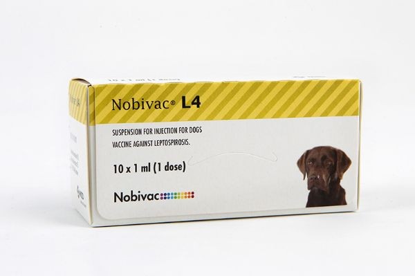 Nobivac (10 doses)