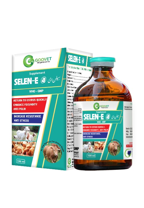 SELEN E