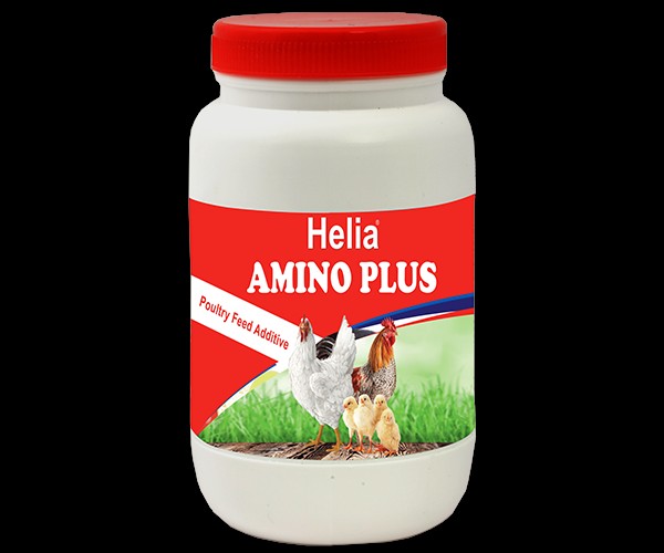 Aminoacides Volaille